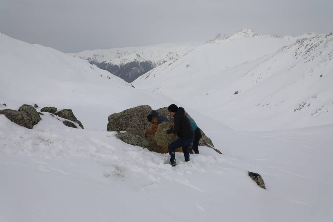 Vuran Da Var Besleyen De... 4000 Metre Tepede 20 Ton Yemle Yaşatma Çabası Görülmeye Değer 6